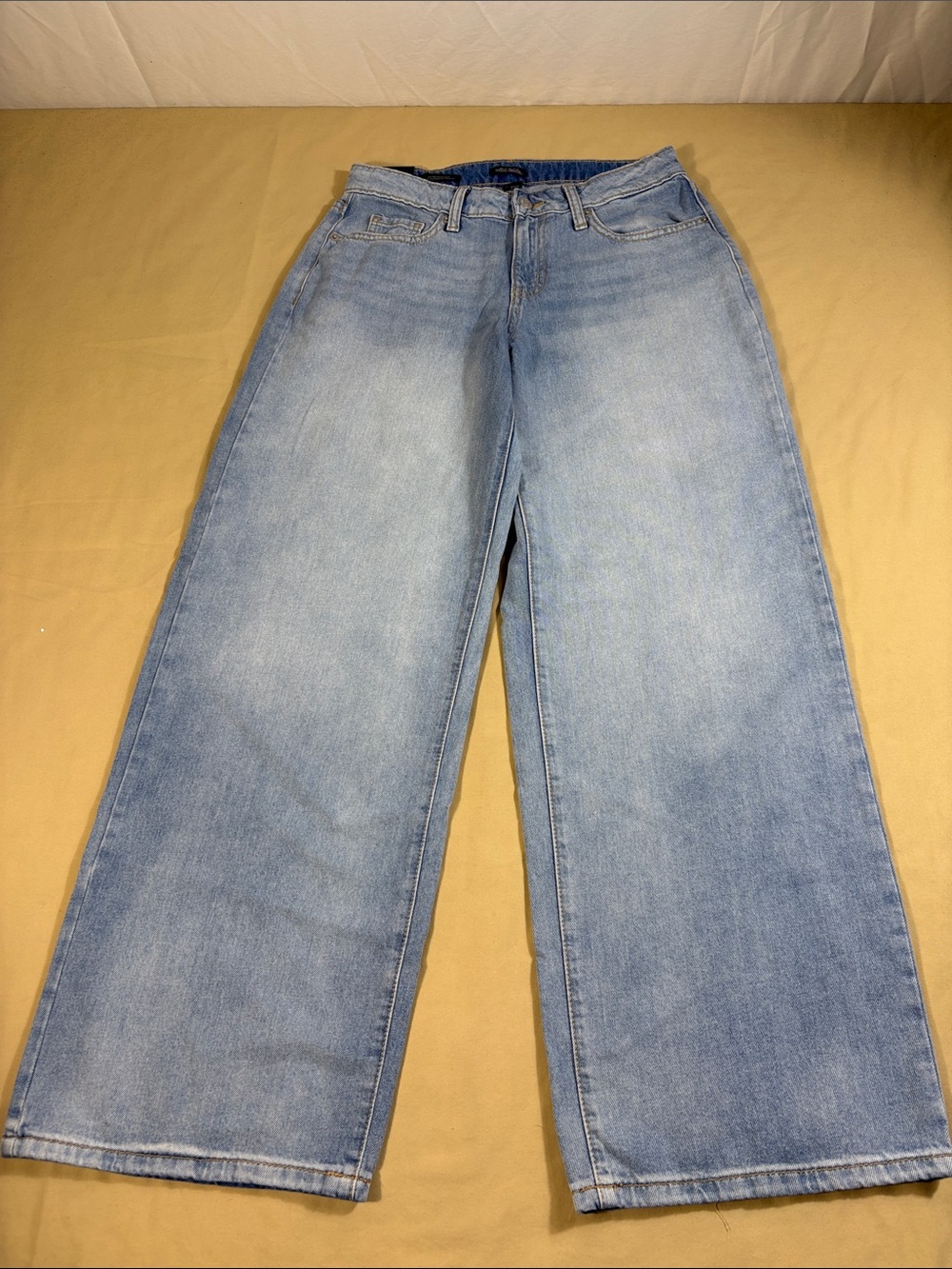 Wild Fable Light Wash Y2K Low-Rise Baggy Rigid Denim Jeans Size 6 31 Inseam NWT